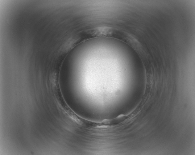 X0000064760326200602101230