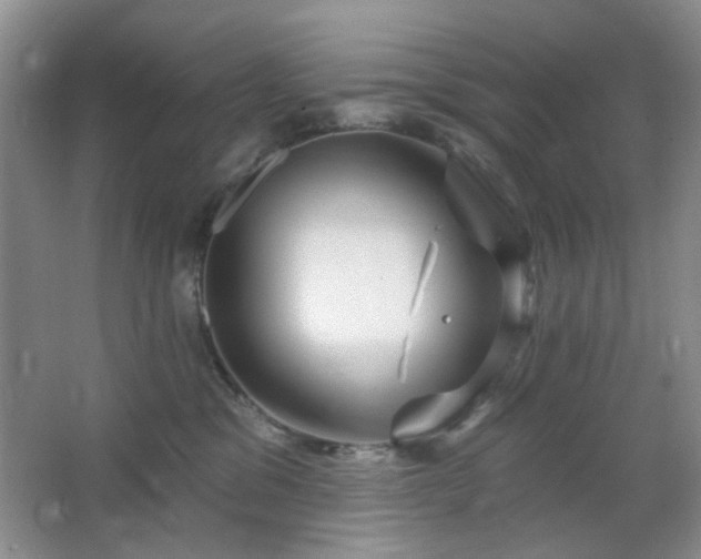 X0000064760329200602101230