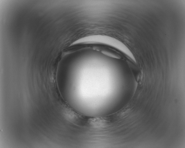X0000064760331200602101230
