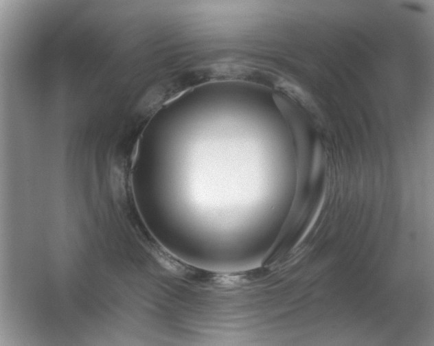 X0000064760333200602101229