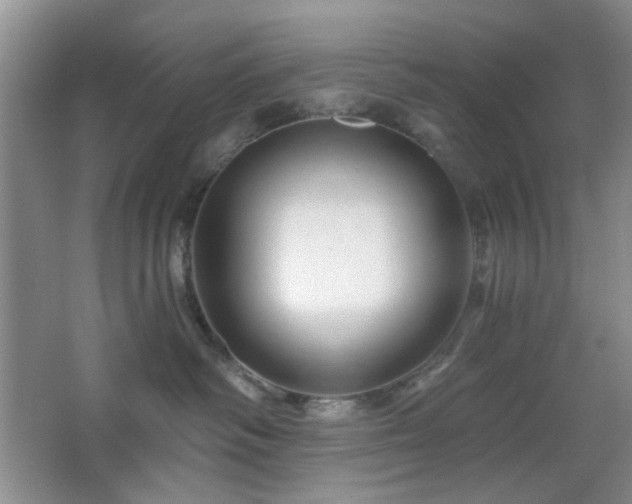 X0000064760334200602101229