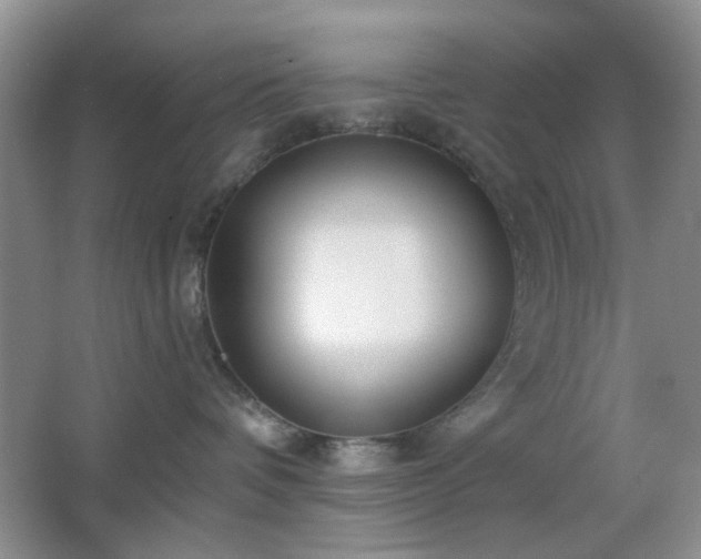 X0000064760336200602101229