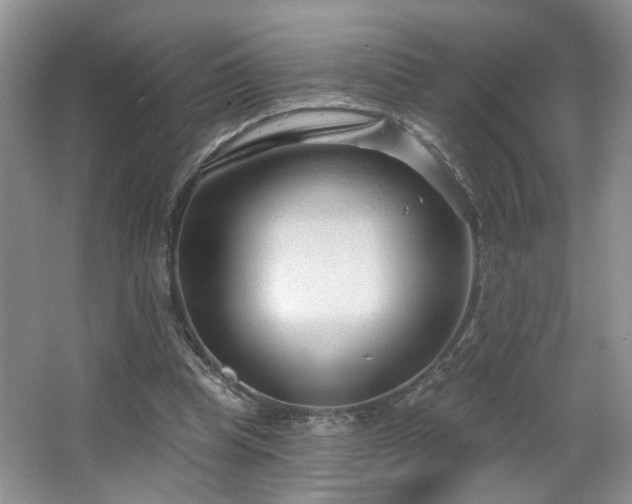 X0000064760345200602101229