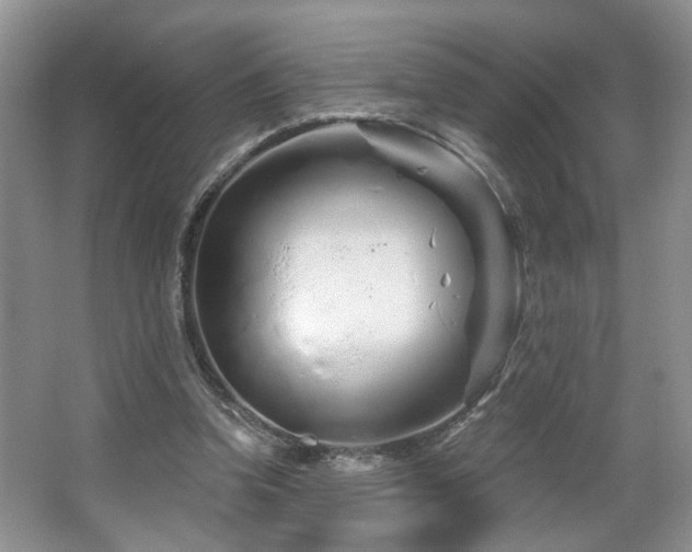 X0000064760346200602101229