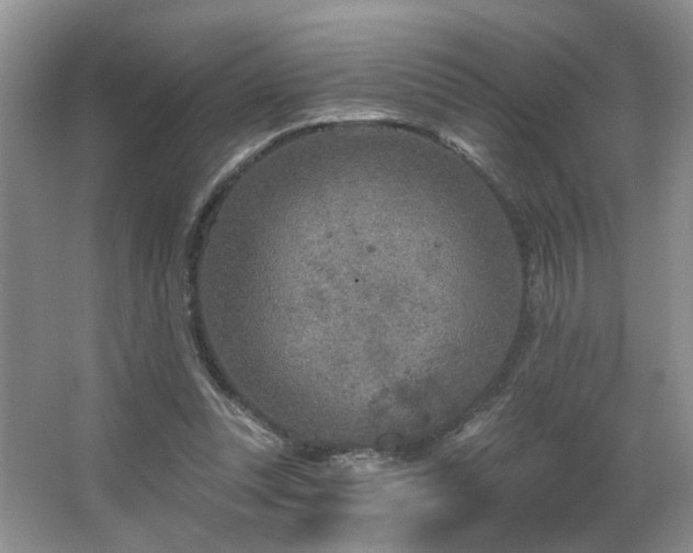 X0000064760351200602101229