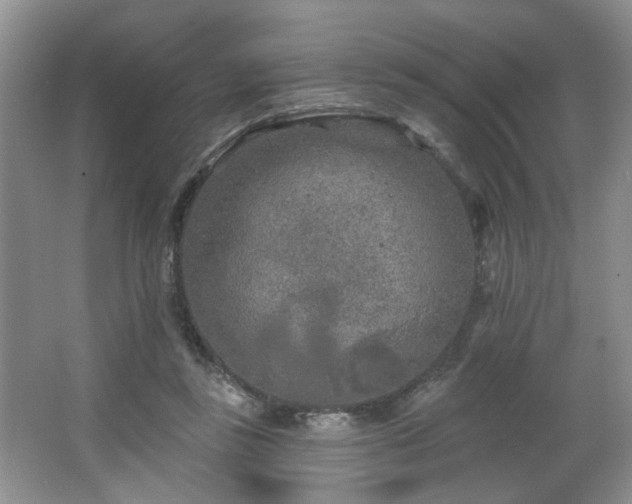 X0000064760355200602101229