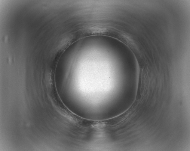 X0000064760362200602101229
