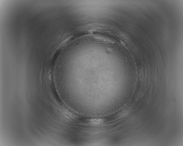 X0000064760363200602101229