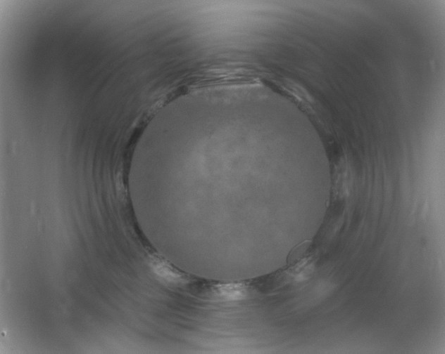 X0000064760377200602101229