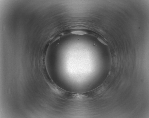 X0000064760379200602101229