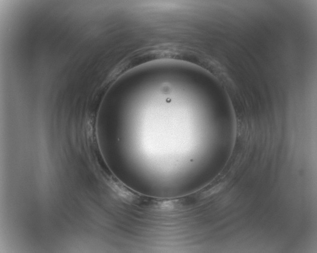 X0000064760382200602101229