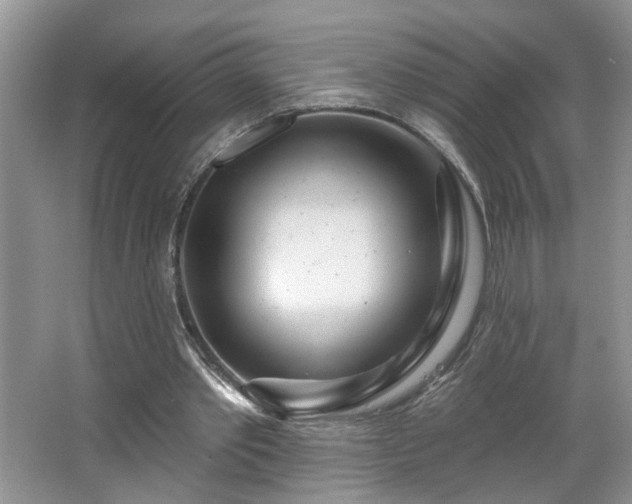 X0000064760389200602101229