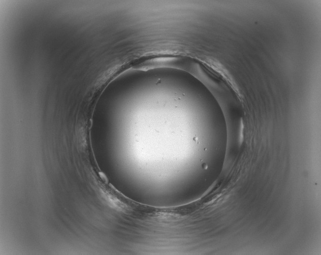 X0000064760393200602101228