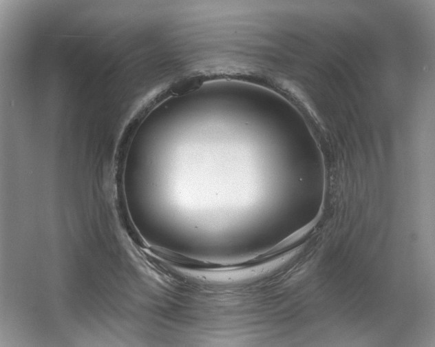 X0000064760395200602101228