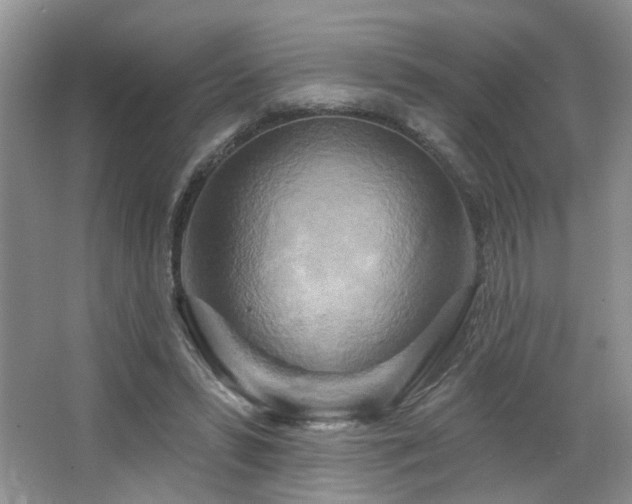 X0000064760399200602101228