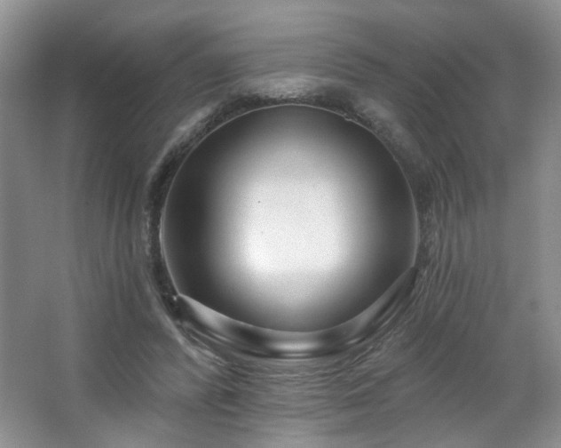 X0000064760400200602101228