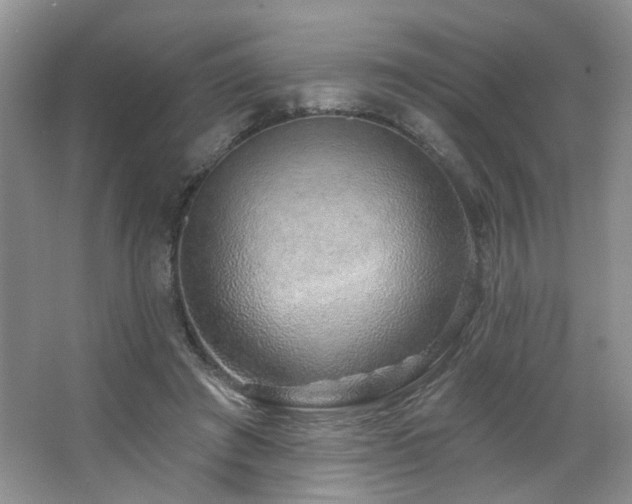 X0000064760401200602101228