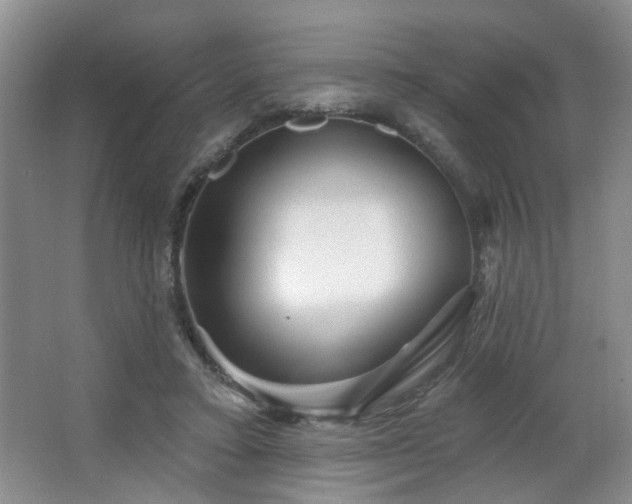 X0000064760403200602101228