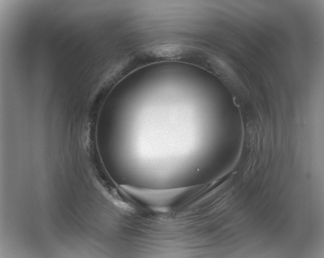 X0000064760404200602101228
