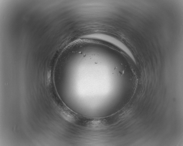 X0000064760406200602101228