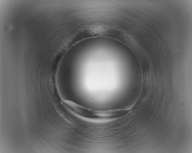 X0000064760408200602101228