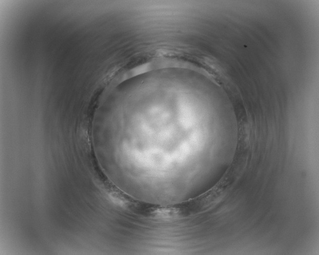 X0000064760415200602101228