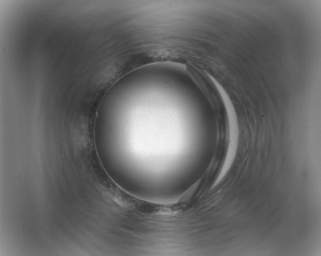 X0000064760416200602101228
