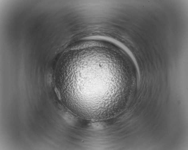 X0000064760417200602101228