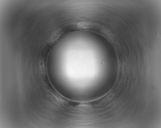 X0000064760418200602101228