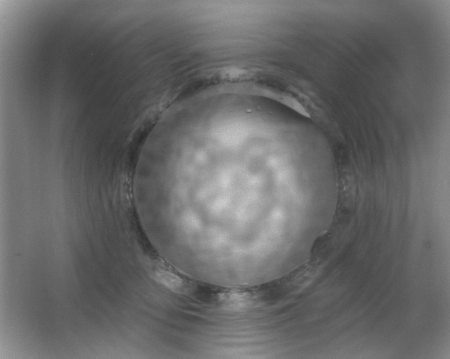 X0000064760419200602101228