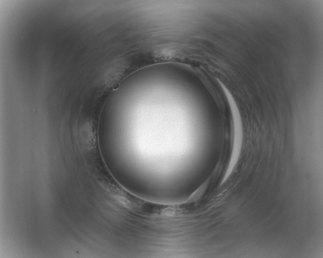 X0000064760420200602101228