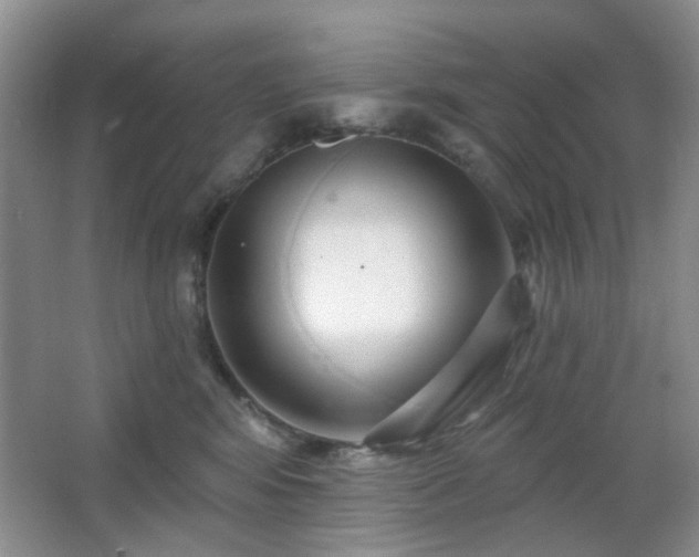 X0000064760424200602101228