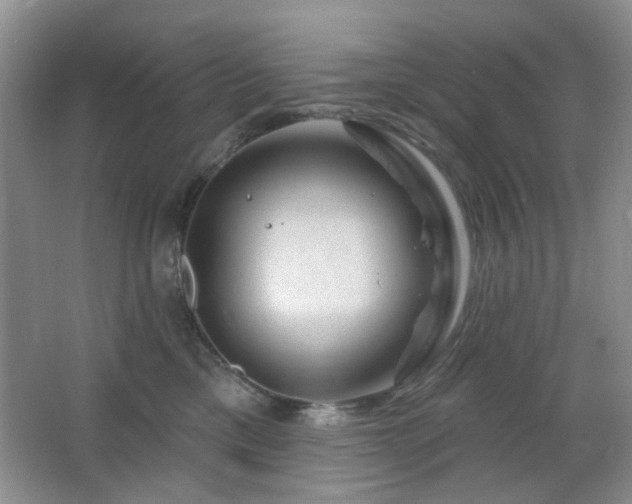 X0000064760425200602101228