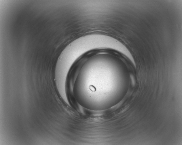 X0000064760427200602101228
