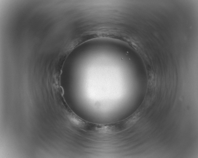 X0000064760430200602101228