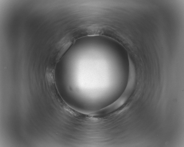 X0000064760432200602101228