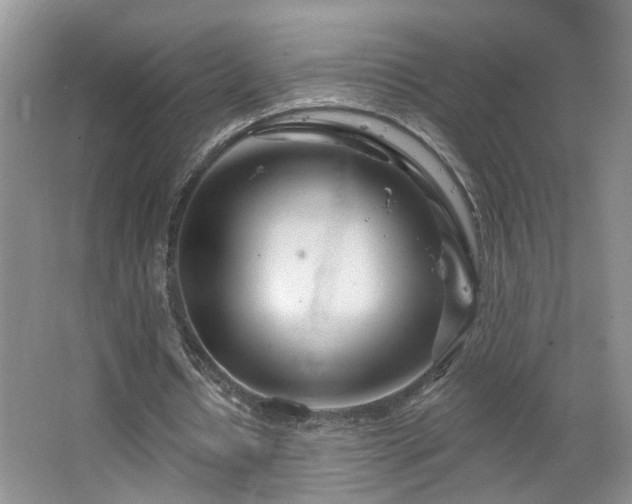 X0000064760434200602101227