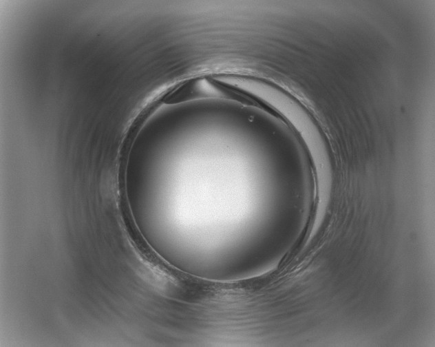 X0000064760438200602101227