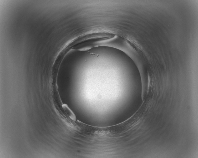 X0000064760440200602101227