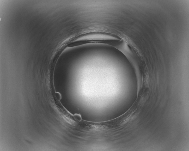 X0000064760442200602101227