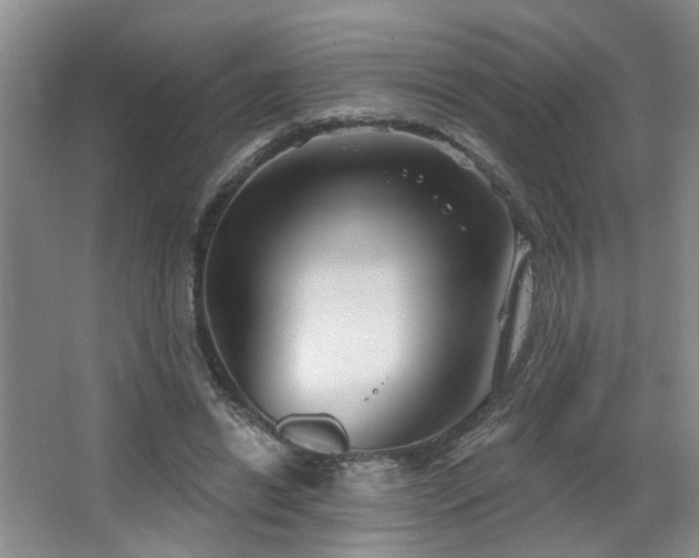 X0000064760446200602101227