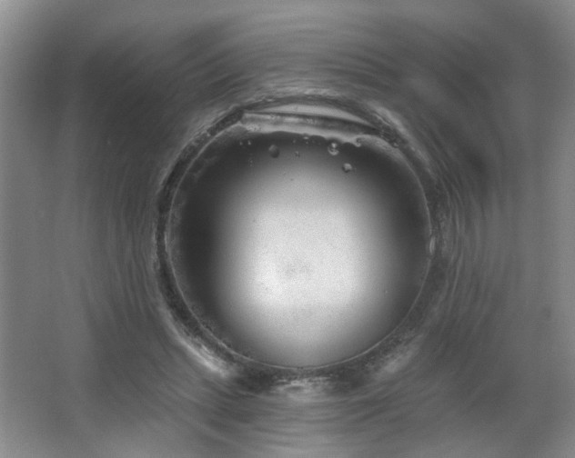 X0000064760447200602101227