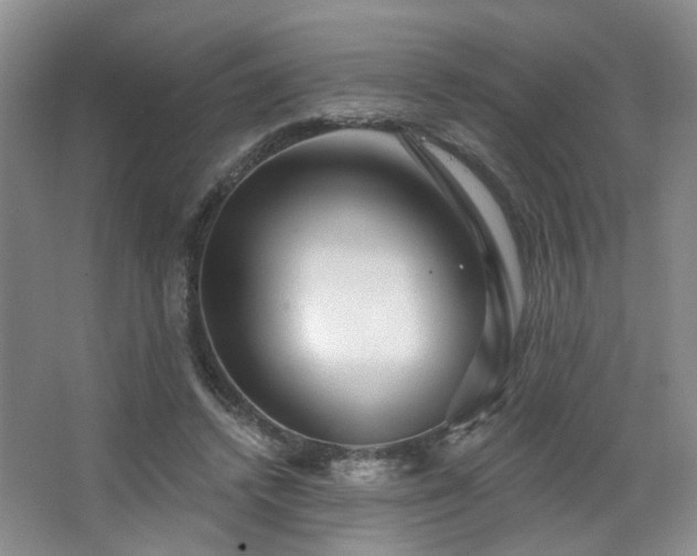 X0000064760448200602101227