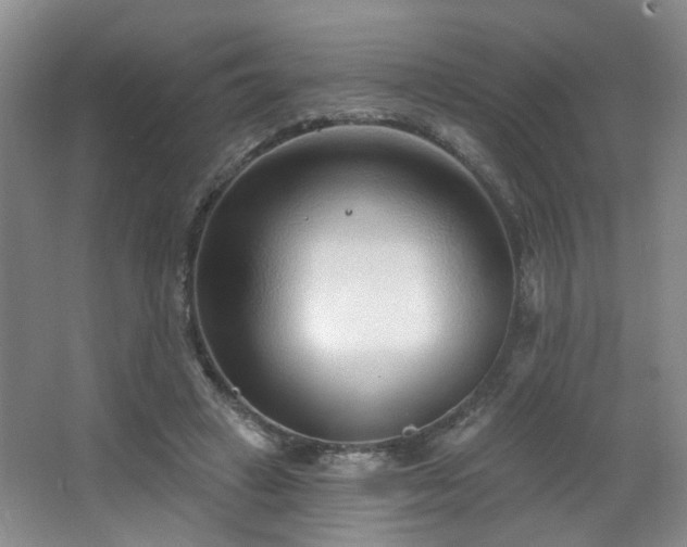 X0000064760449200602101227