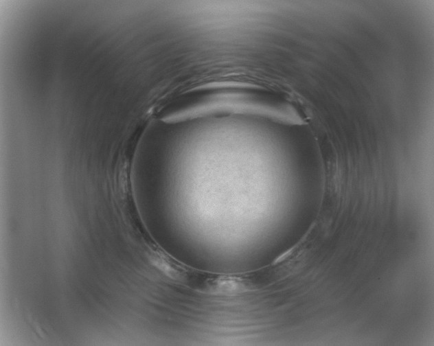 X0000064760475200602101228