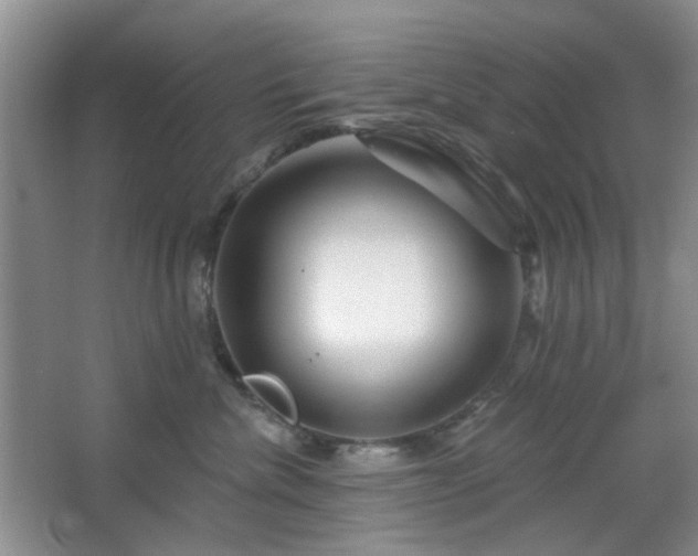 X0000064760476200602101228