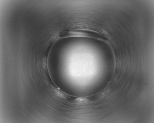 X0000064760477200602101228