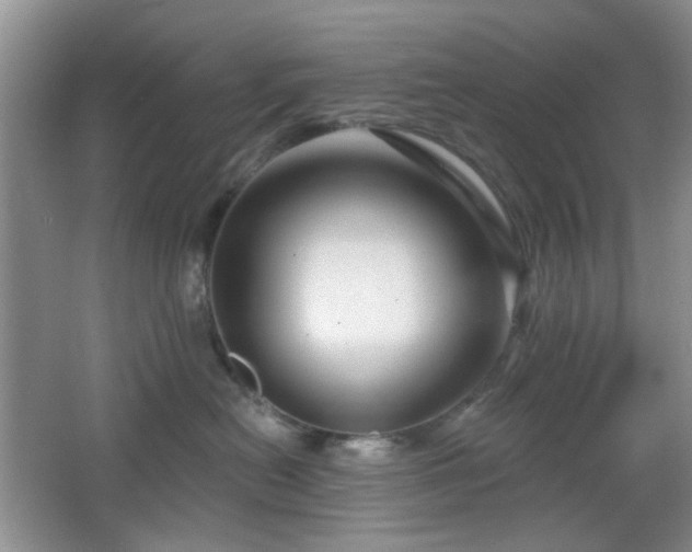 X0000064760478200602101228