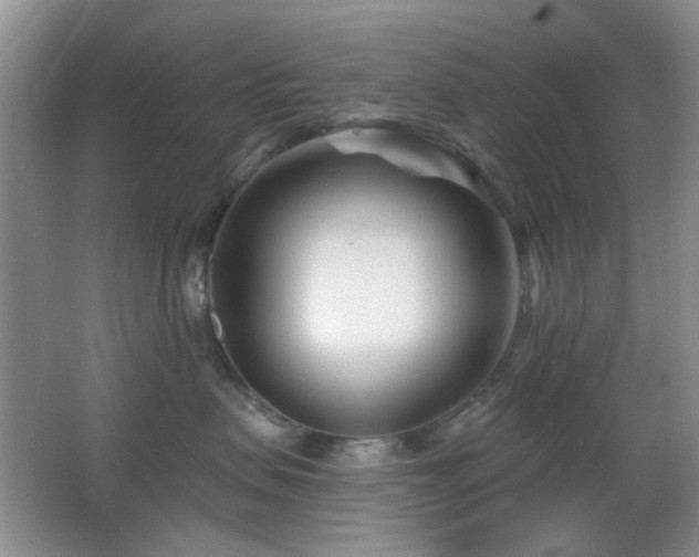X0000064760479200602101228