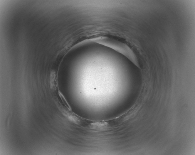 X0000064760480200602101228